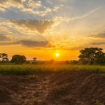 Pohled na pozemek za západu slunce